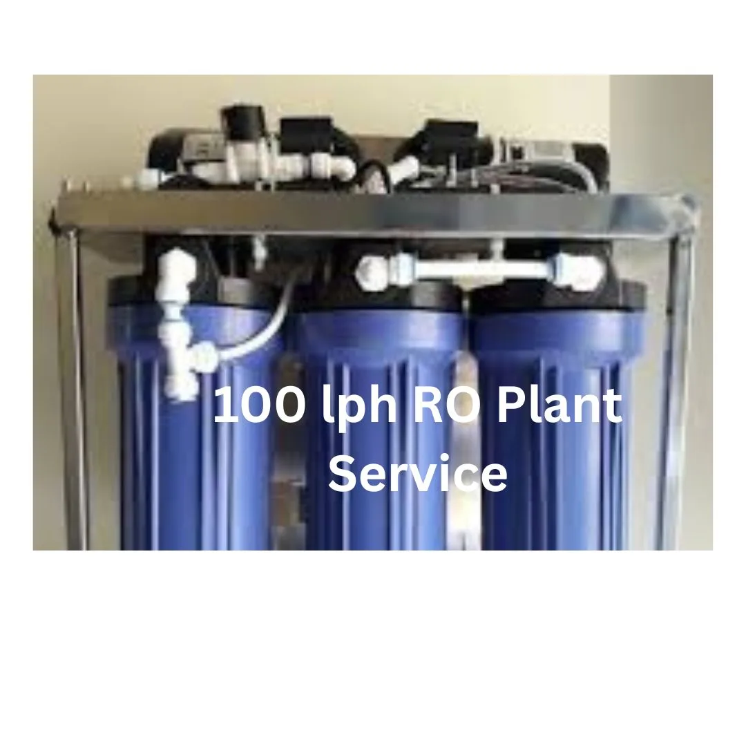 100 lph RO Plant Service