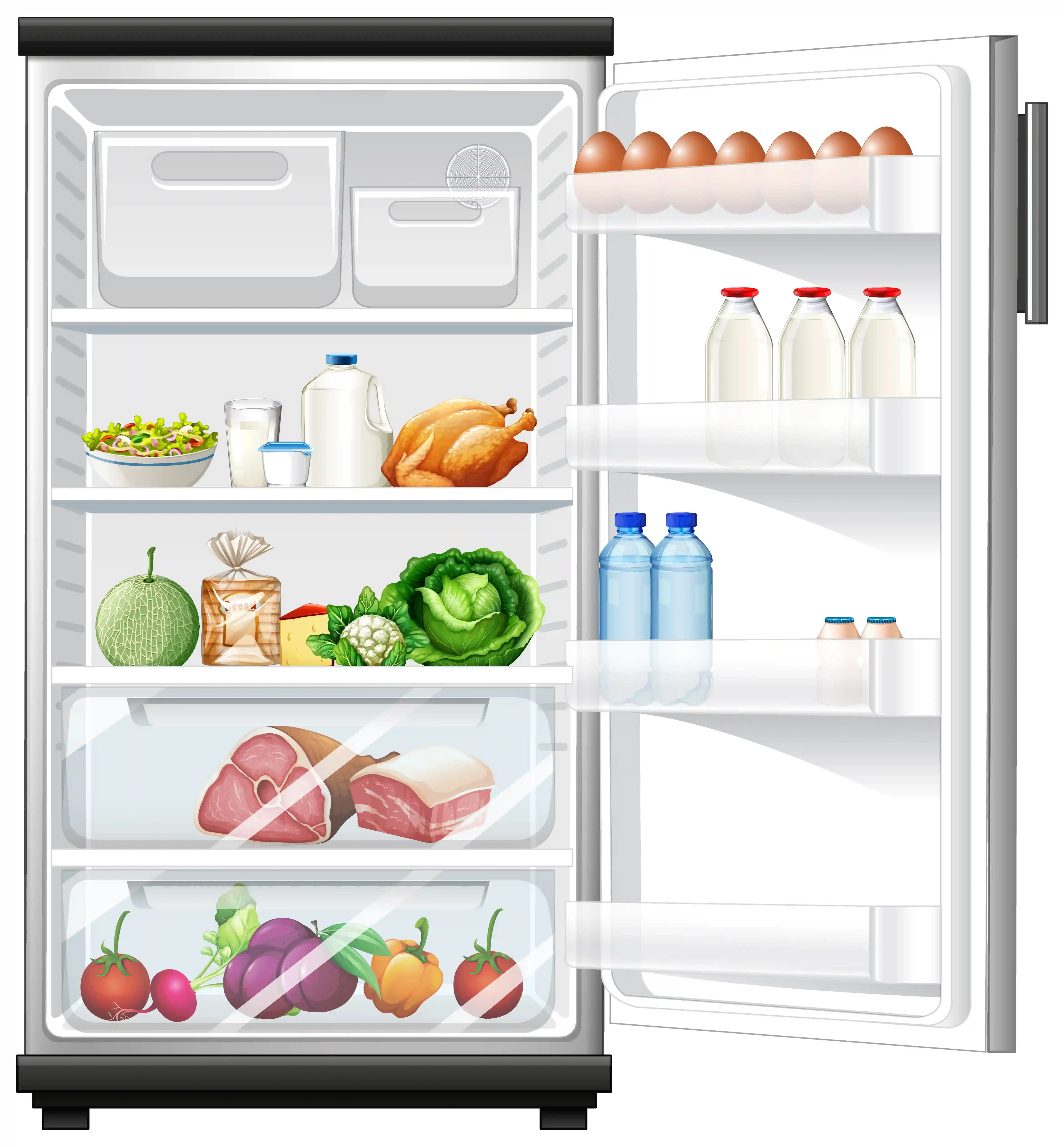 Single Door Fridge Repair in Moradabad